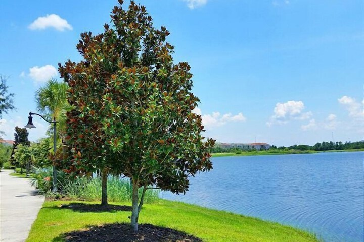 Property Grounds 130 of 136