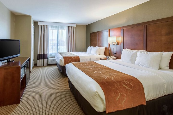 1 Bedroom Suite (4 of 8)