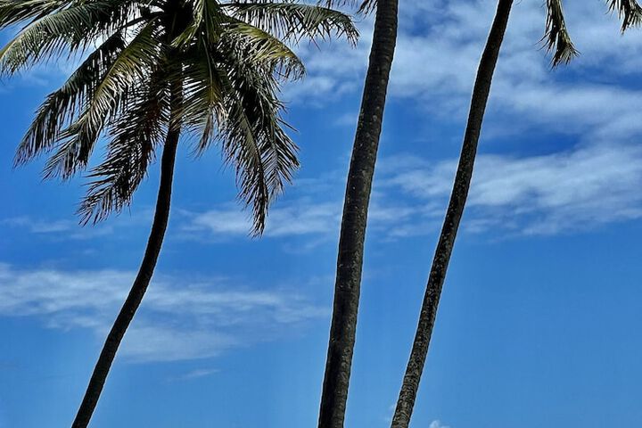 Beach 18 of 18