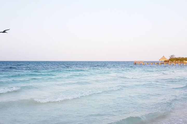 Beach 41 of 69