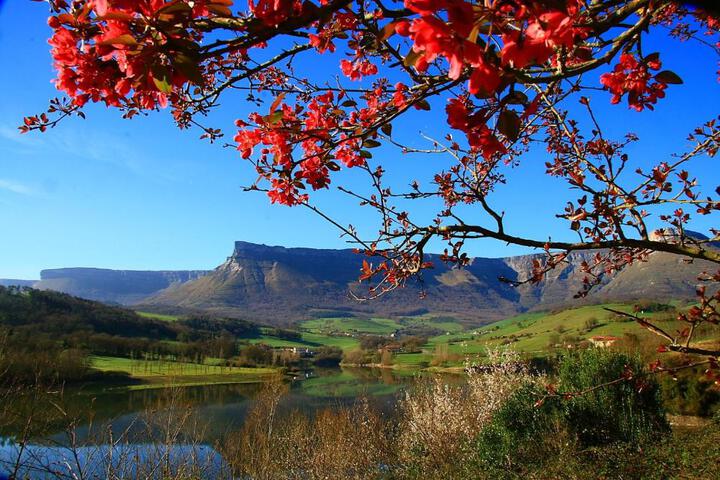 General 70 of 77