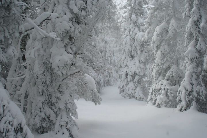 Outdoor Activities 58 of 104