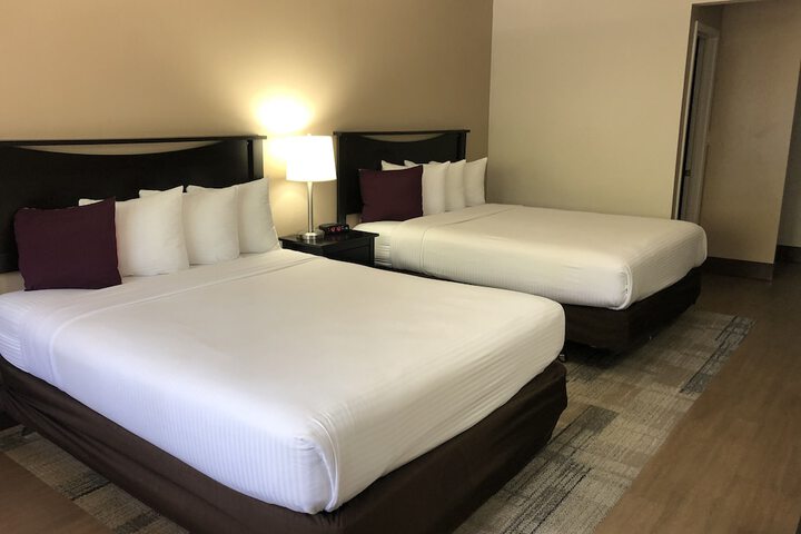 2 Queen Beds (12 of 27)