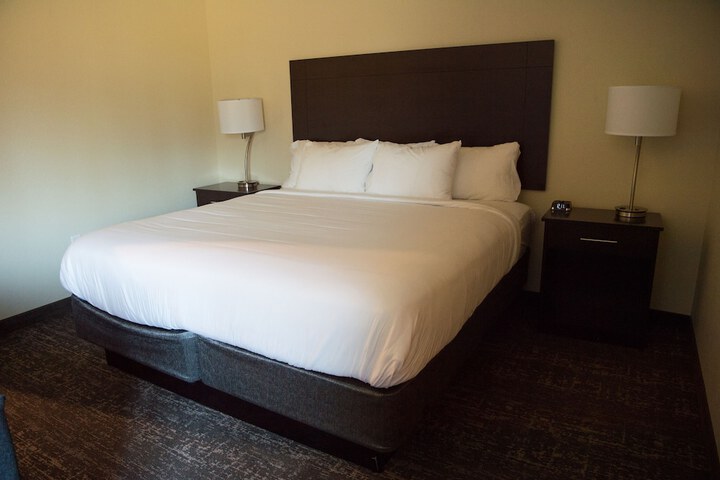 Guest Room Single King Bed (14 of 16)