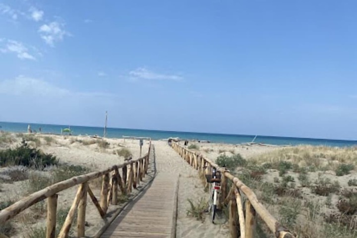 Beach 26 of 29
