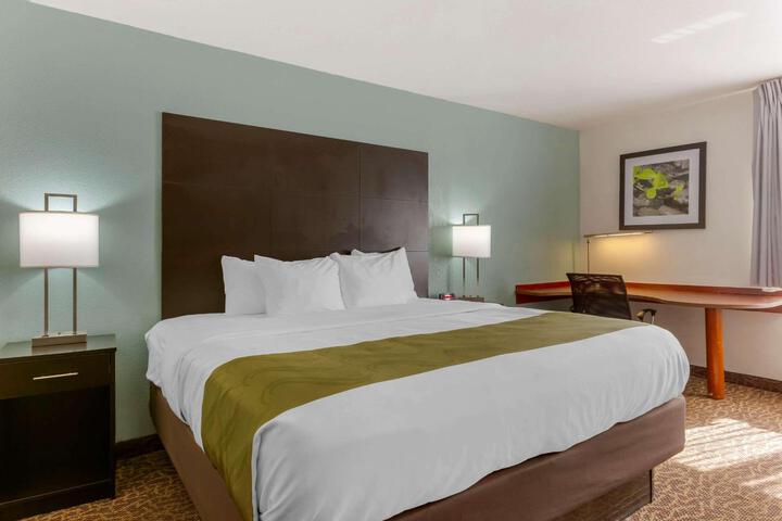 1 King Bed (2 of 30)