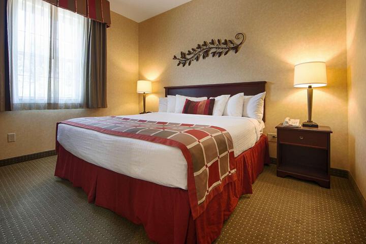 1 King Bed Mobility Accessible Communication Assistance Roll in Shower Continental Breakfast (13 of 13)