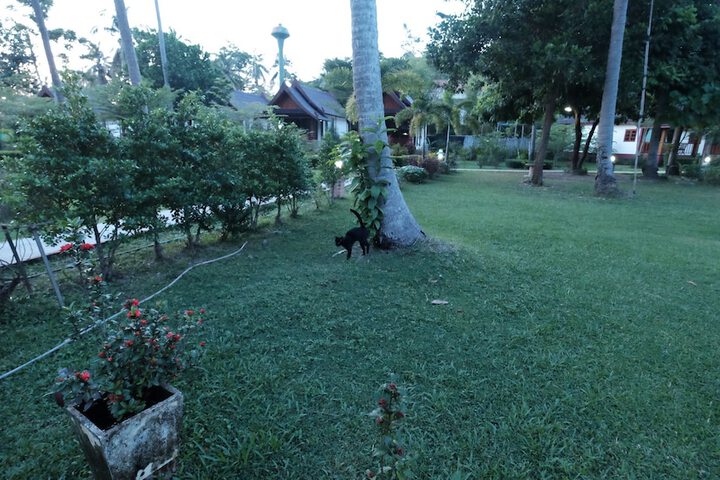 Property Grounds 20 of 28
