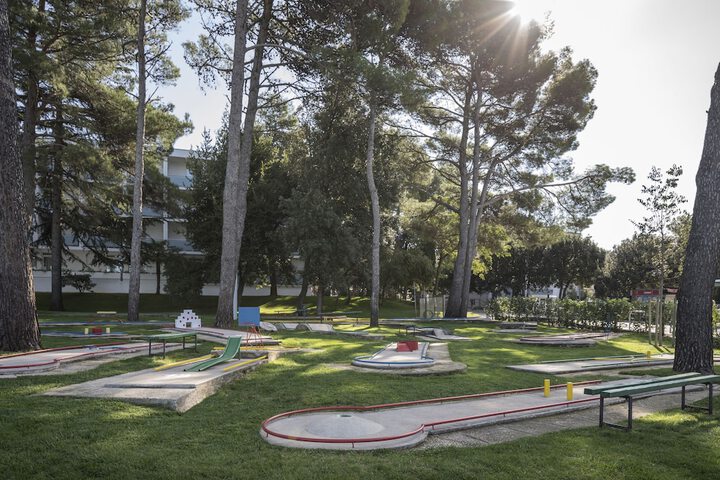 Mini-golf