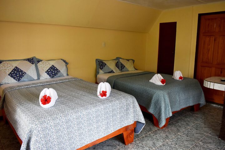 Room 15 of 40