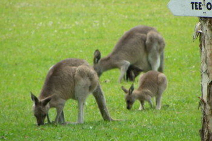 Property Grounds 21 of 26