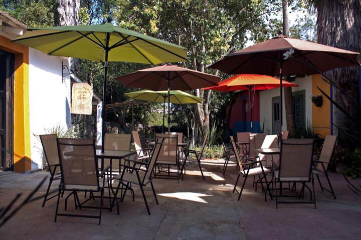 Photo 13