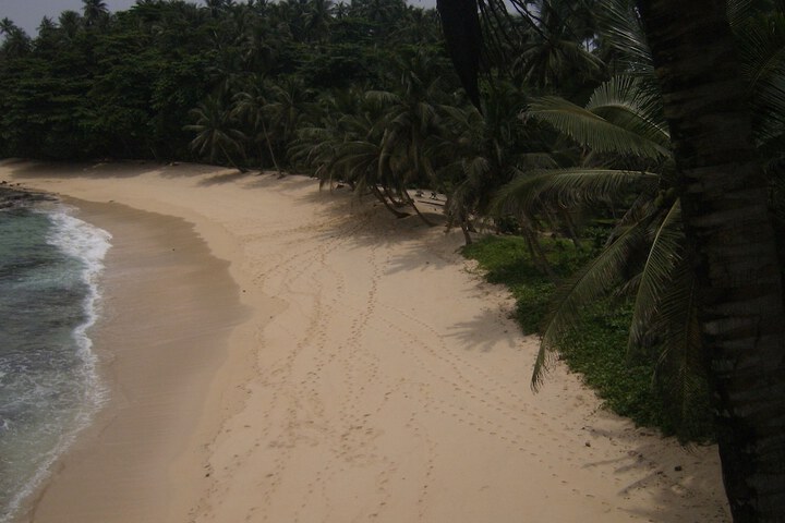 Beach 14 of 55