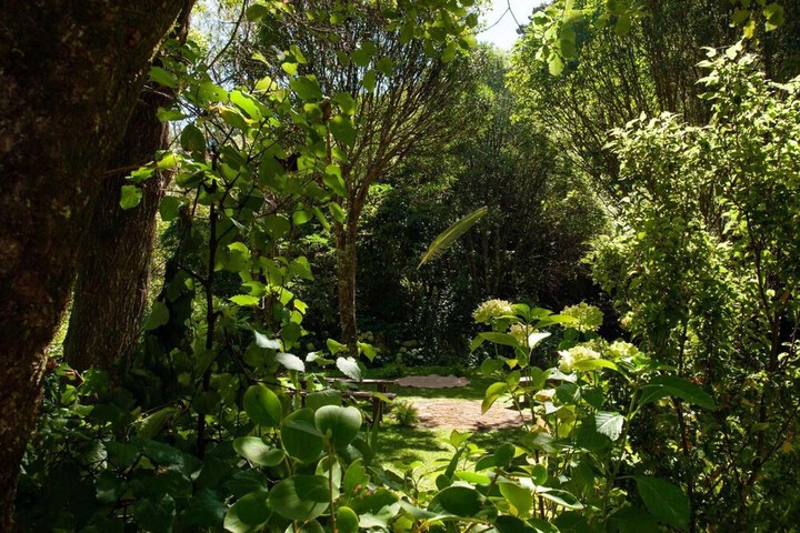 Property Grounds 30 of 48