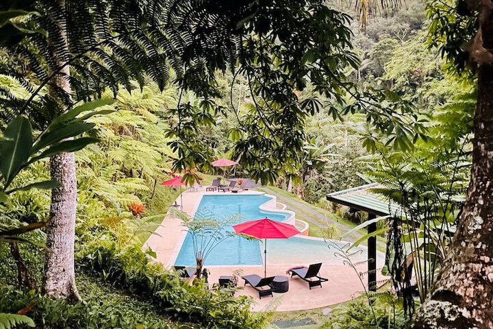 Pool 99 of 151