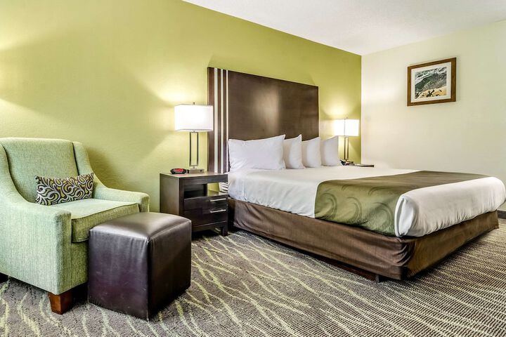 1 King Bed (5 of 9)