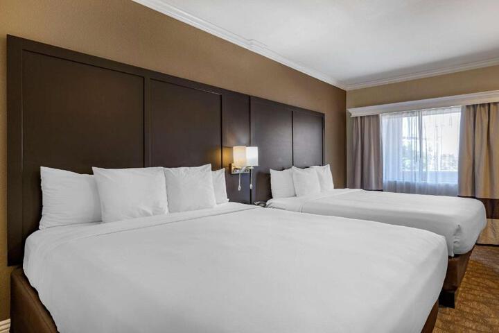 2 King Beds (3 of 23)