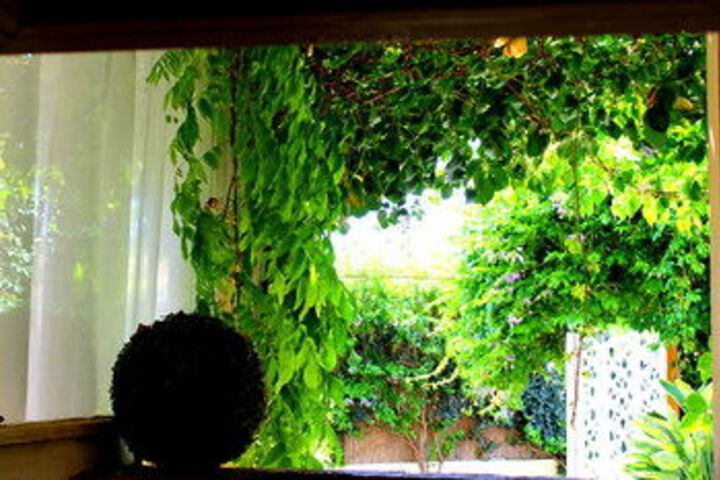 Hotel Exterior 88 of 191