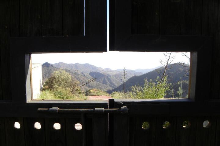General 14 of 33