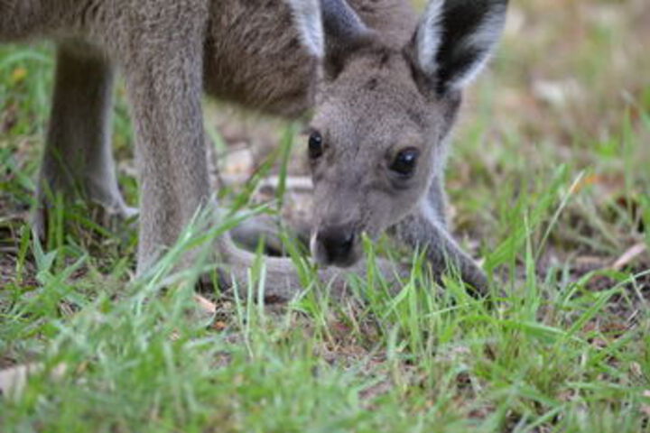 Property Grounds 55 of 65