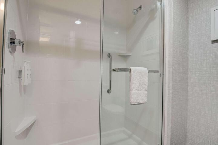 1 King Mobility Accessible with Tub (8 of 18)