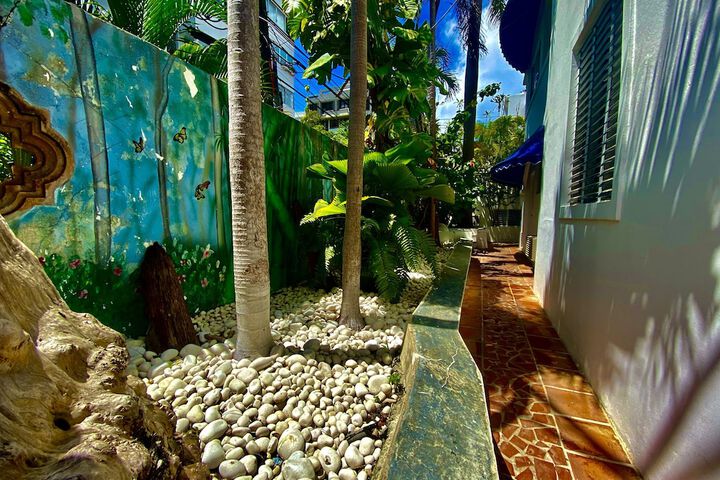 Garden view