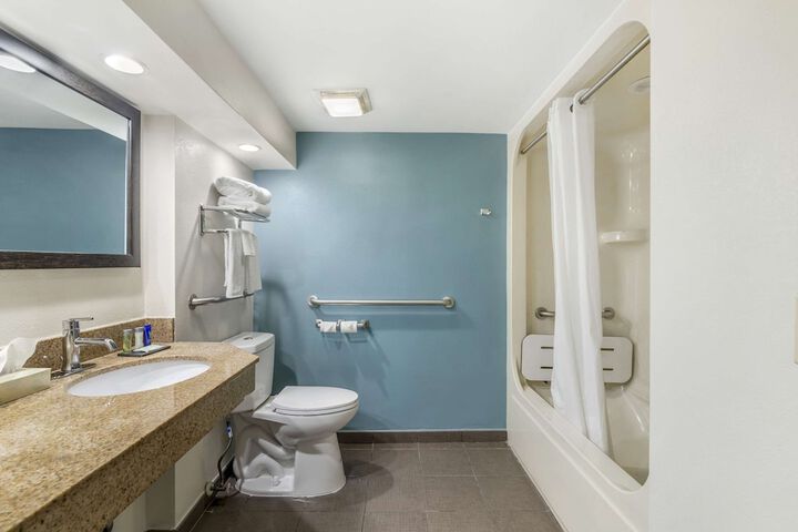 1 Queen Bed Accessible (8 of 10)