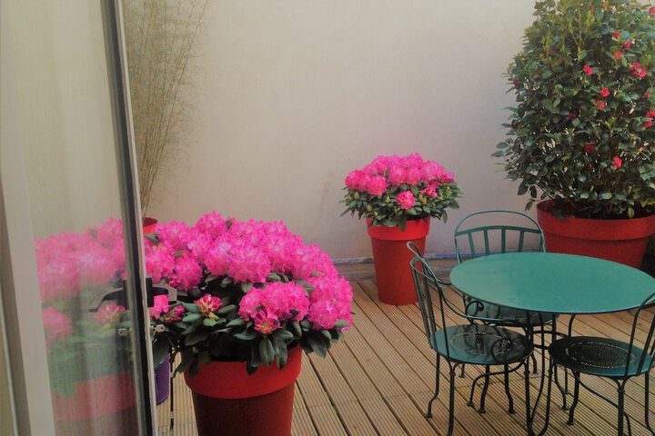Terrace/Patio 39 of 68