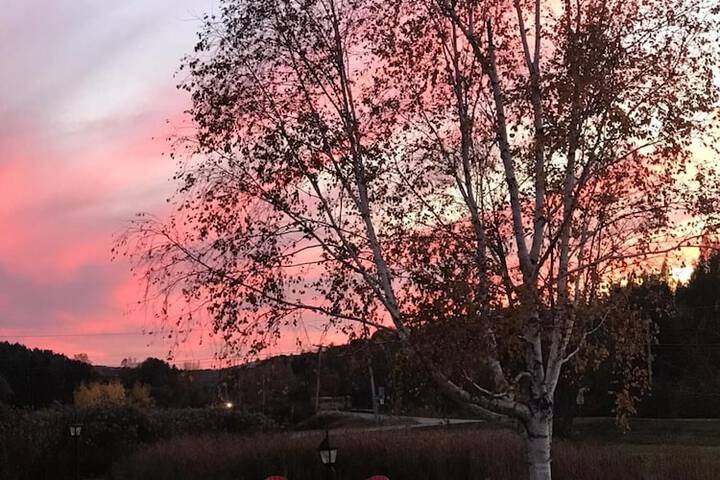 Property Grounds 50 of 69