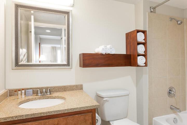1 King Bed Studio Suite (2 of 8)