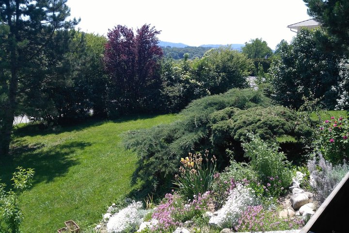 Photo 4