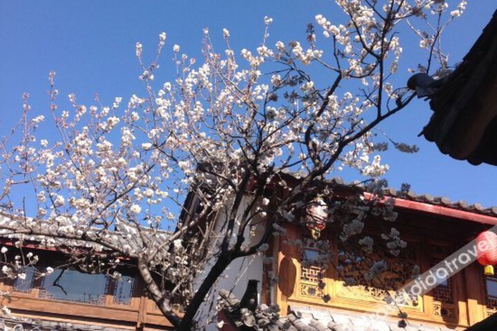 Lijiang Na Xi He Inn