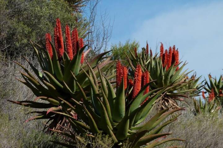 Property Grounds 26 of 33