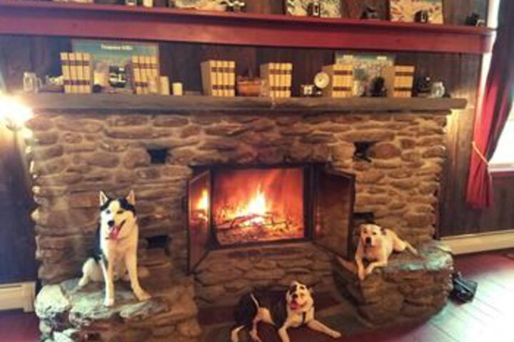 Pet Friendly 46 of 51