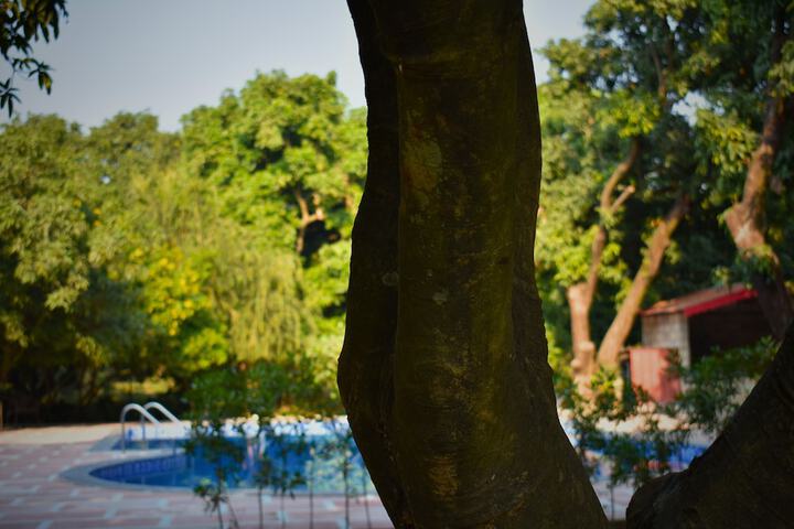 Pool 31 of 63