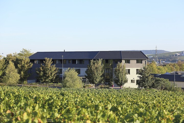 Hotel Les Grains Dargent
