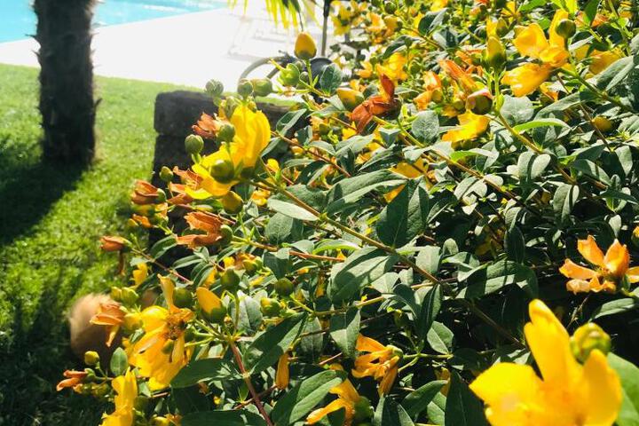 General 15 of 53
