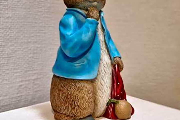 Photo 22