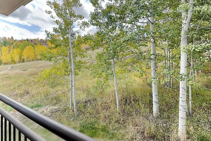 Terrace/Patio 668 of 891