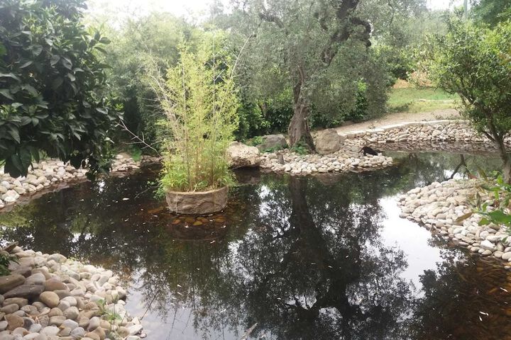 Property Grounds 3 of 51