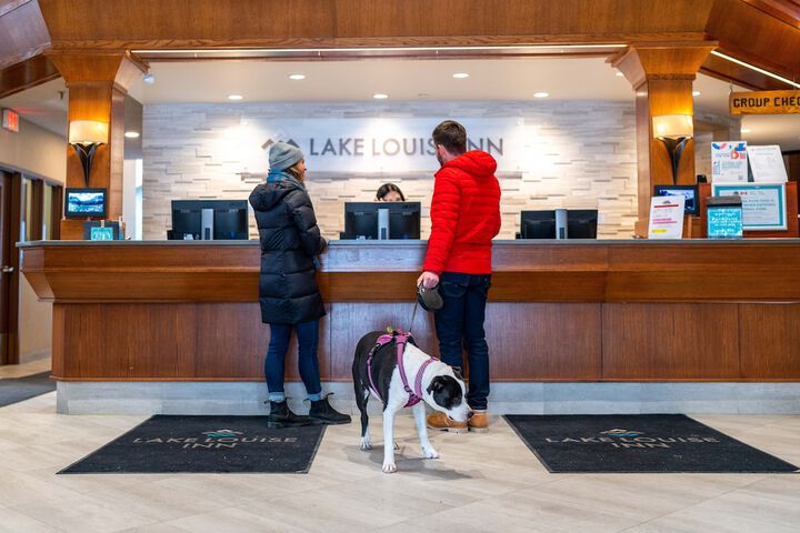 Pet-friendly