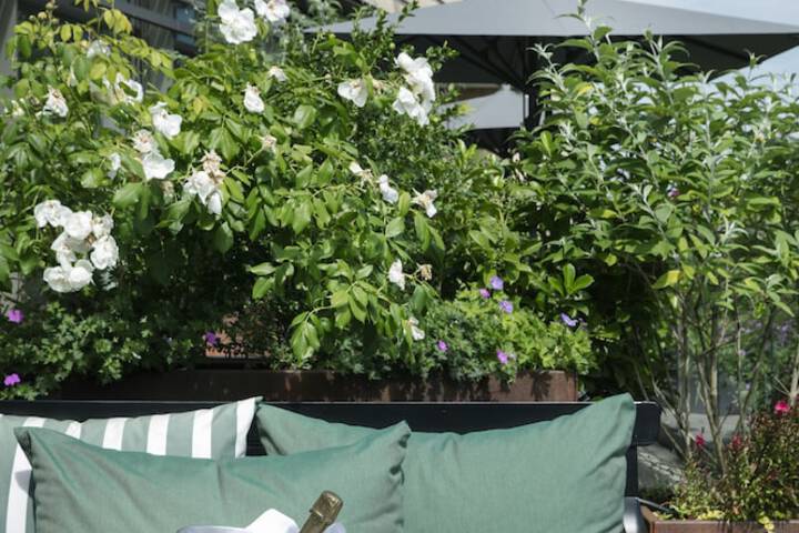 Terrace/Patio 87 of 198