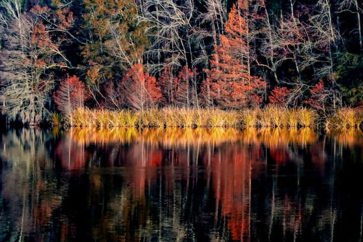 Property Grounds 97 of 124