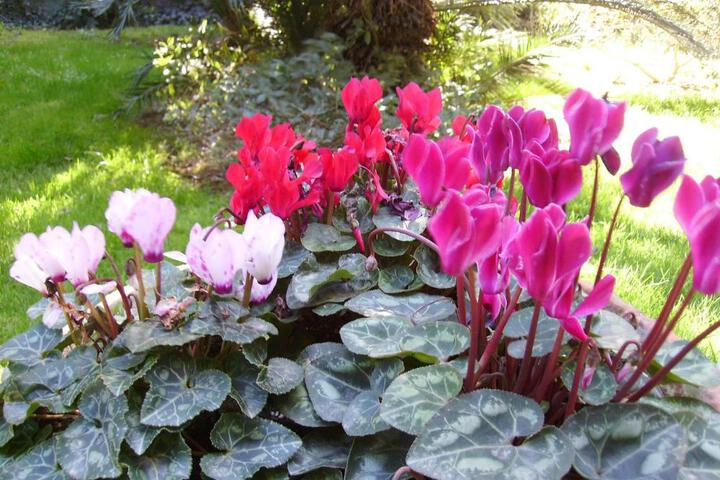 Photo 25