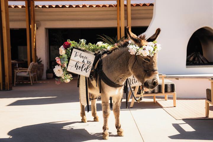 Outdoor wedding area