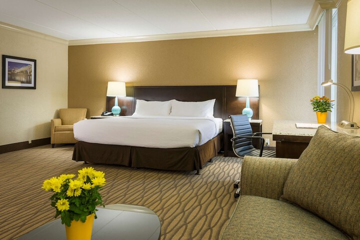 1 King Bed Sofa Bed Work Desk Refrigerator WiFi Keurig Coffee Maker Full Breakfast (9 of 15)