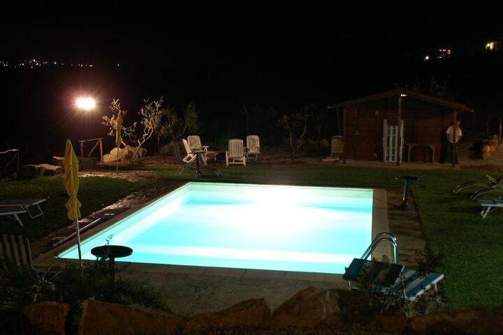 Pool 19 of 40