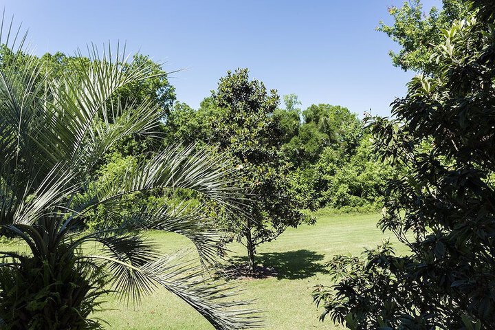 Property Grounds 19 of 21