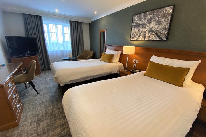 Room 4 of 81