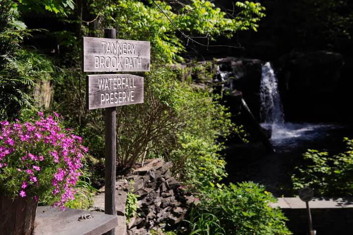 Property Grounds 90 of 101